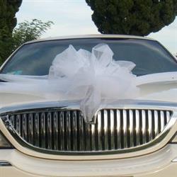 Passion Limousine Service