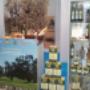 Olio Capitale (fiera)