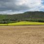 Panicale e dintorni