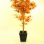 Alberi finti