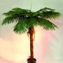 Palme finte