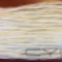 Caricato da visitatore il 01/06/2016 - Mop TNT ritorto per pinza gr. 260