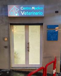 Centro Medico Veterinario Zoe