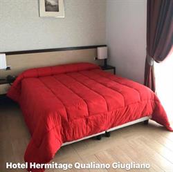 Hotel Hermitage