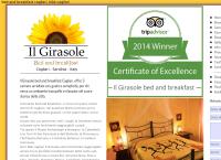 Sito di Il Girasole Bed and Breakfast