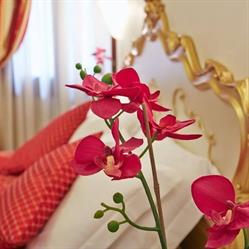 Hotel San Luca