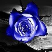 La Rosa Blu Fiori e Piante