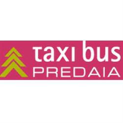 Taxi Bus Predaia