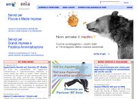 Bt Enia Telecomunicazioni S.p.a.
