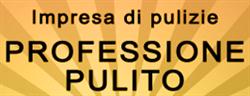 Professione Pulito