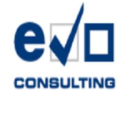 Evo Consulting
