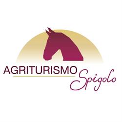 Agriturismo Spigolo di Rigo Michela