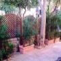 Gallery Professionale