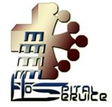 Hospital Service di Andrea Occhioni