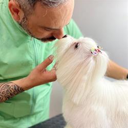 Il Brutto Anatroccolo