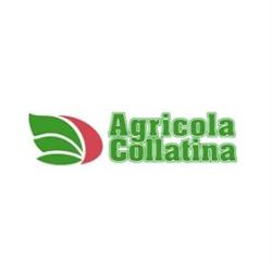 Agricola Collatina