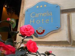 Hotel Camelia Roma
