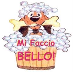 Mi Faccio Bello Di Gianluca Monaca