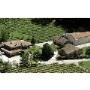 Azienda
