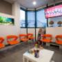 Gallery Professionale