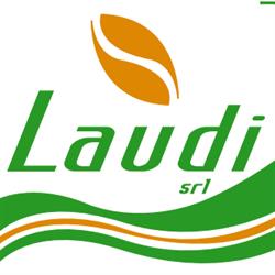 Laudi