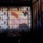 Gallery Professionale