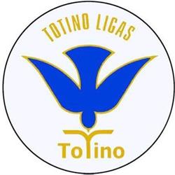 Agenzia Funebre Ligas Totino