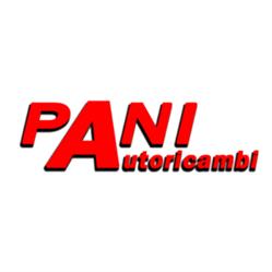 Pani Autoricambi
