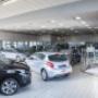 Gallery Professionale
