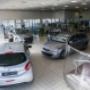 Gallery Professionale