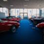 Gallery Professionale