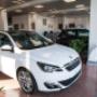 Gallery Professionale