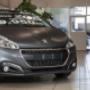 Gallery Professionale