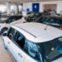 Gallery Professionale