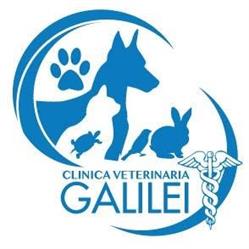 Clinica Veterinaria Galilei di Ripamonti dr. R. & Ciavarella dr. V.