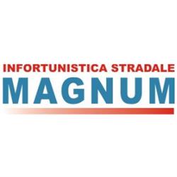 Infortunistica Stradale Magnum Gestione Sinistri