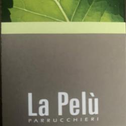 Parrucchiere La Pelu' La Pelu' Di Bottaro Morena a Abano Terme