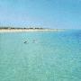 Mare
