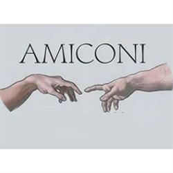 Onoranze Funebri Amiconi