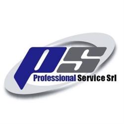 Professional Service