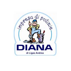 Impresa di Pulizie Diana