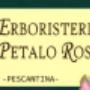 Insegna