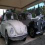 Patti Auto - San Gregorio di Catania -