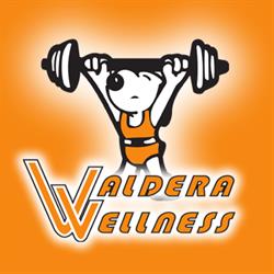 PALESTRA VALDERA WELLNESS srl