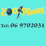 Zoo Planet