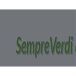 Sempreverdi