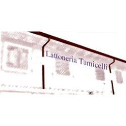 Lattoneria Tumicelli Paolo