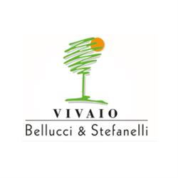 Vivaio Bellucci e Stefanelli