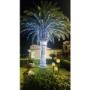 Brullo Luminarie_Luci per Eventi