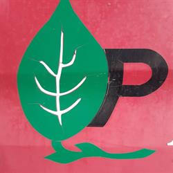 Vivai Peretti e Danti s.s Società Agricola